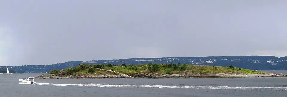 Terneholmen naturreservat