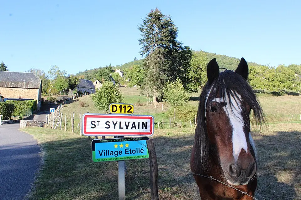 Saint-Sylvain