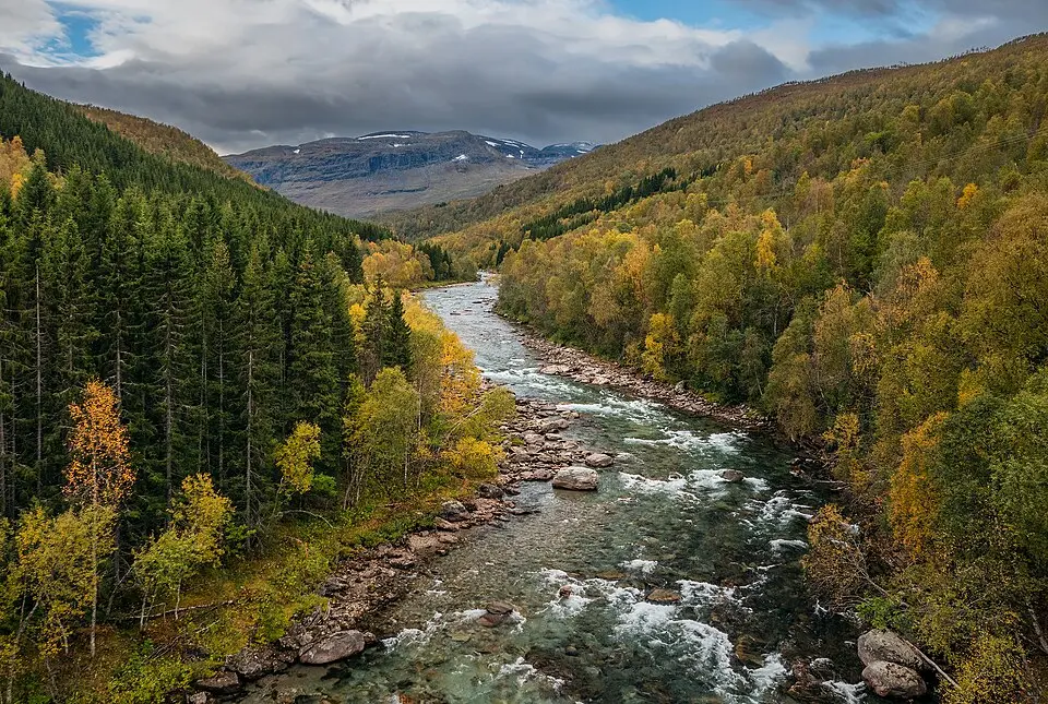 Salangsdalen
