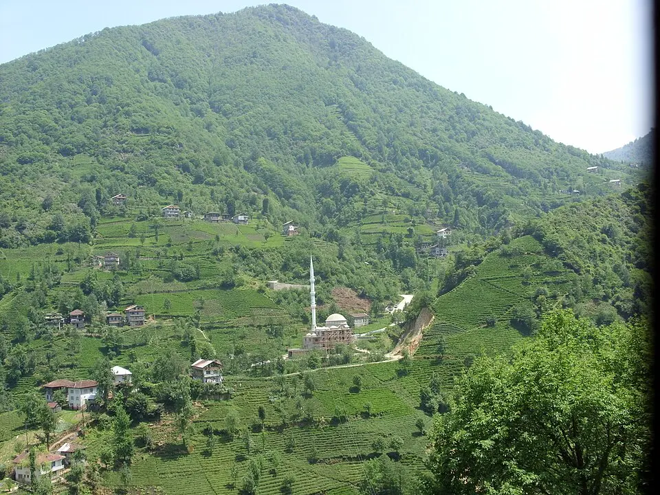 Asmalıırmak