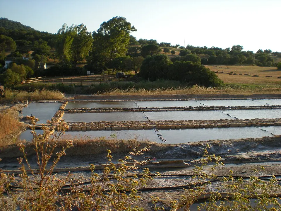 Salinas de Hortales