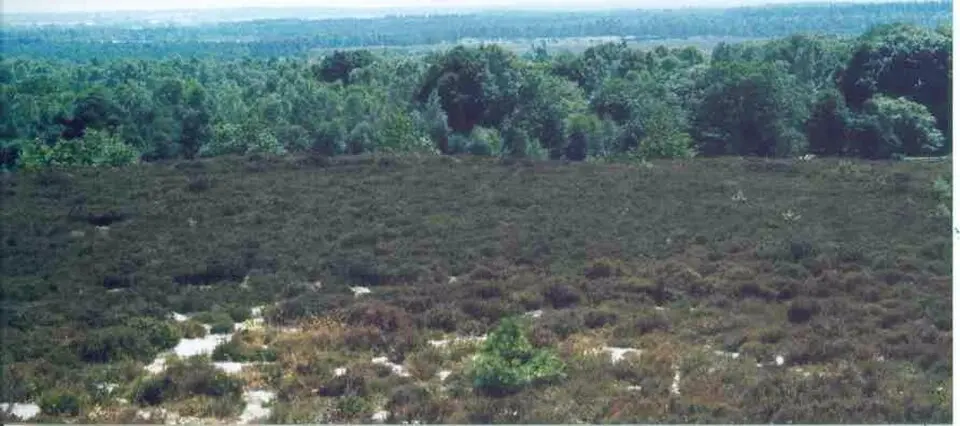 Sallandse Heuvelrug