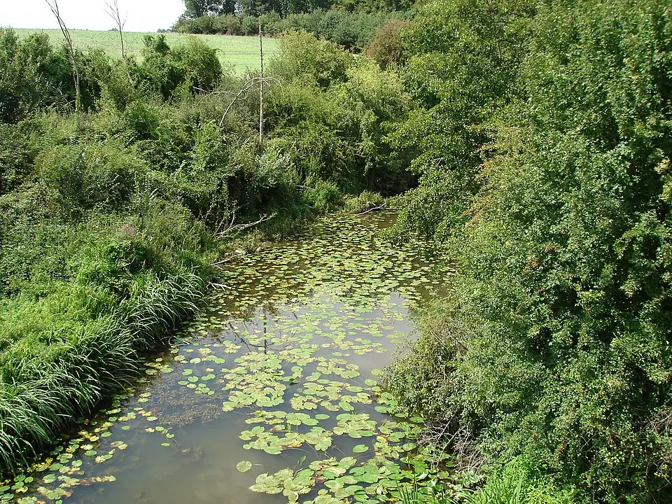 Salleron