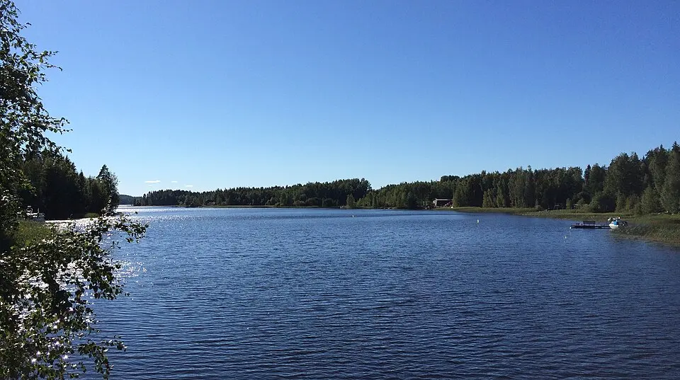 Salonsaari