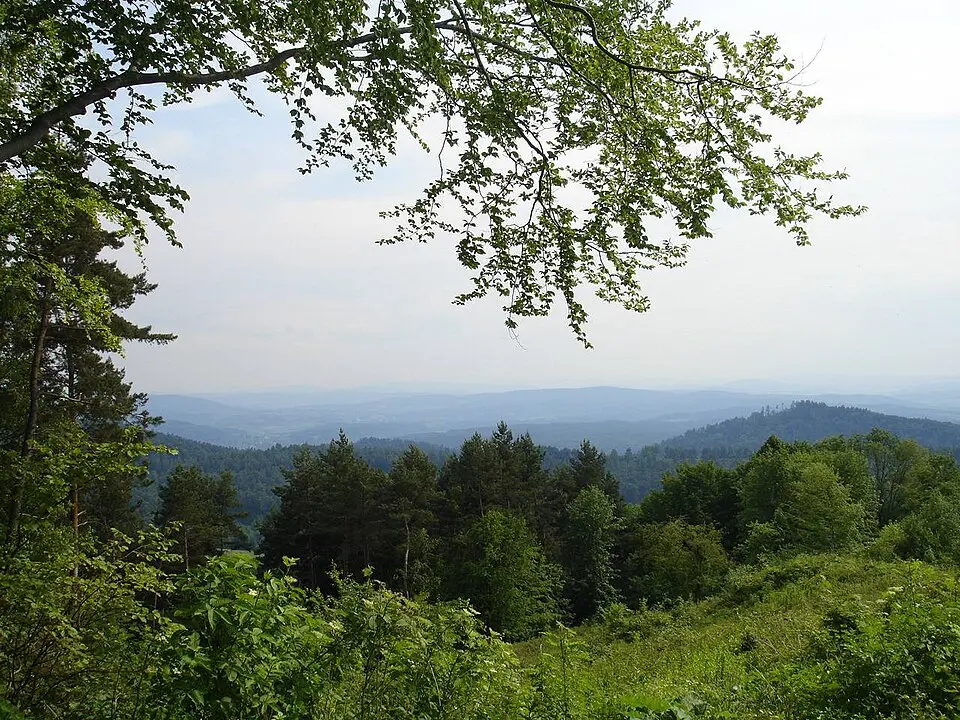 Góry Sanocko-Turczańskie