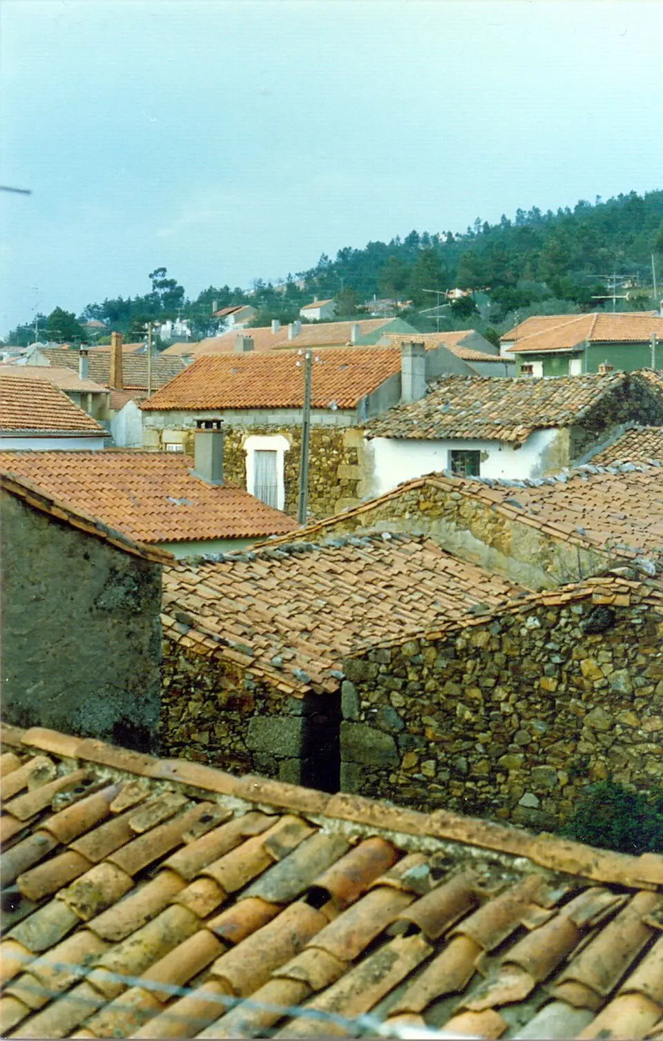 Salvador