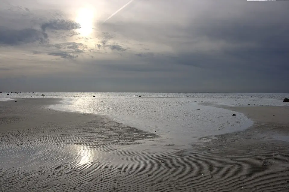 Salvikens strandängar