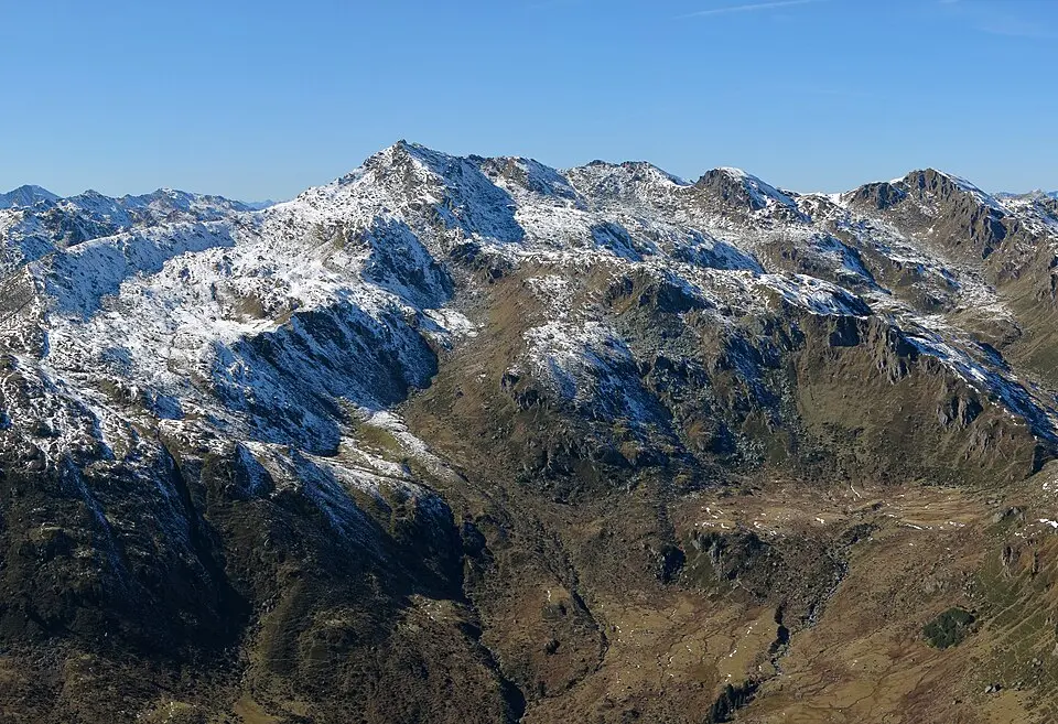 Salzachgeier