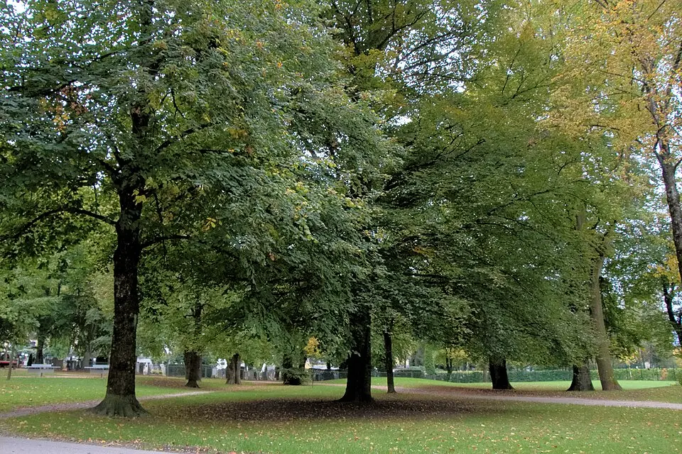 Gnigler Park
