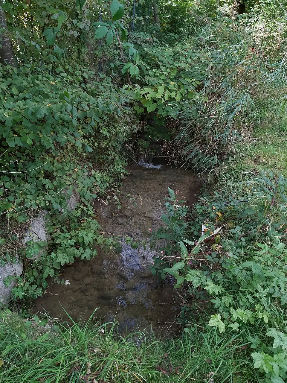 Bachlauf in Kasern