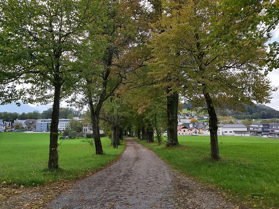 Lindenallee in Kasern