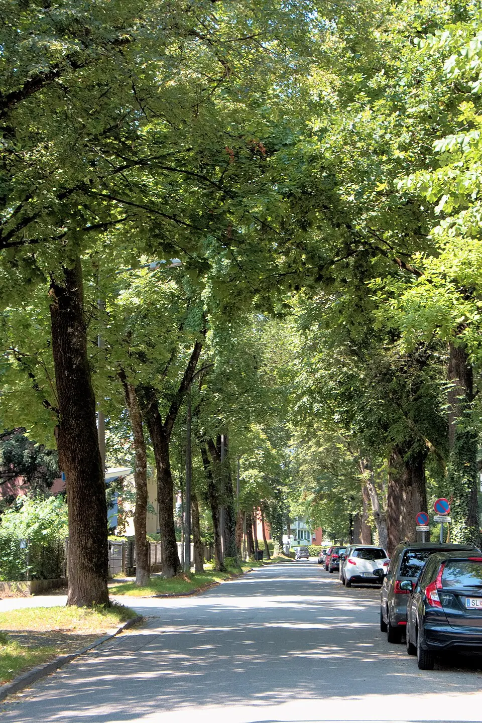 Fürstenallee