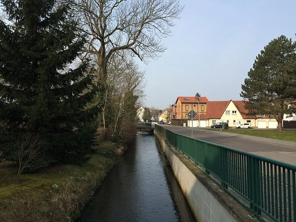 Salzwedeler Dumme