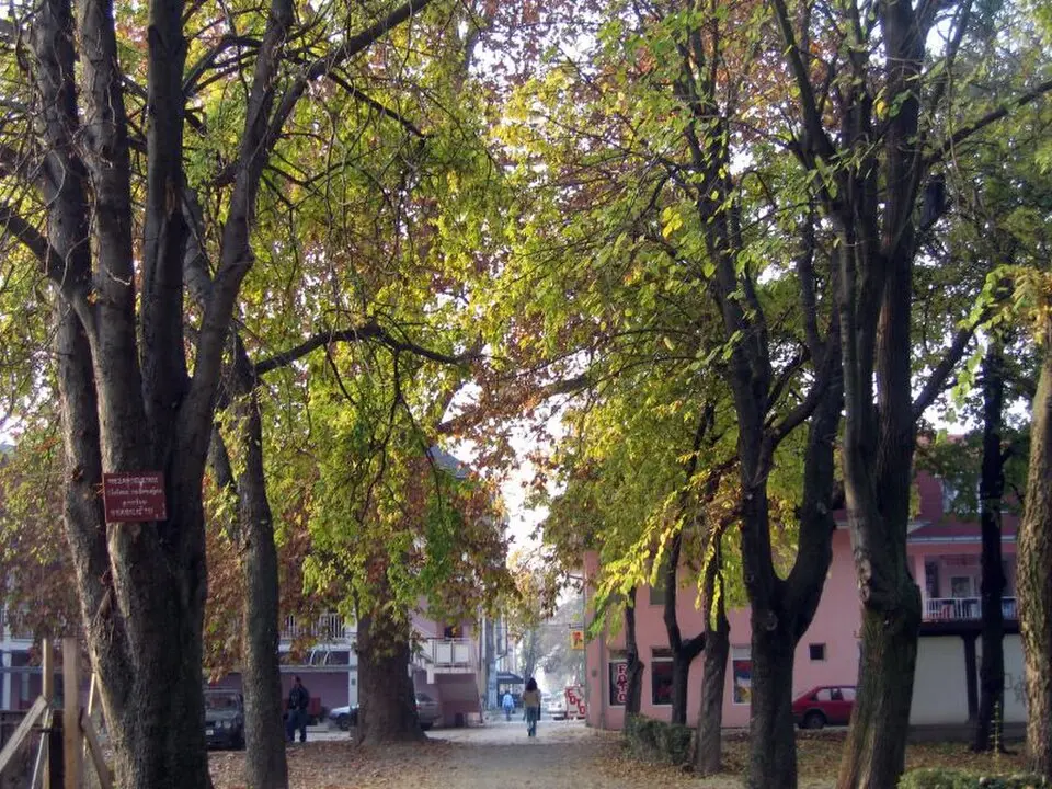 Slika: Tanja · CC BY-SA 2.0 Šamac