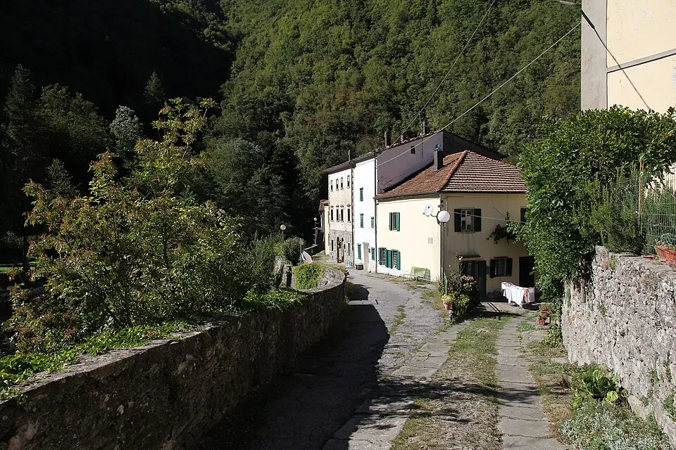 Taviano