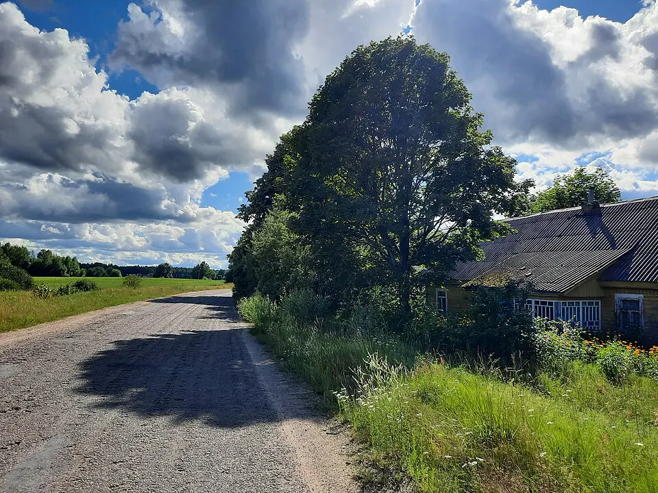 Samiščy