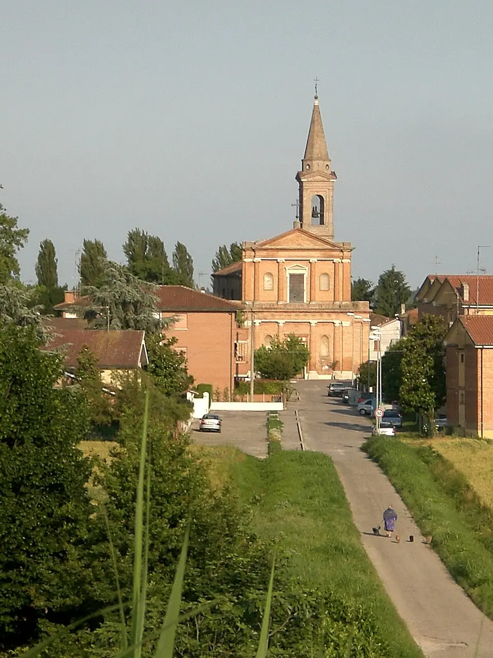 Francolino