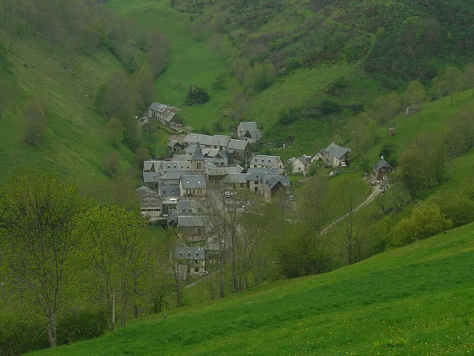 Aspin-Aure
