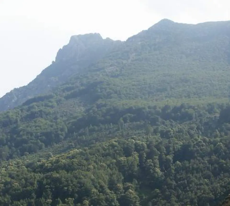 Monte San Petrone