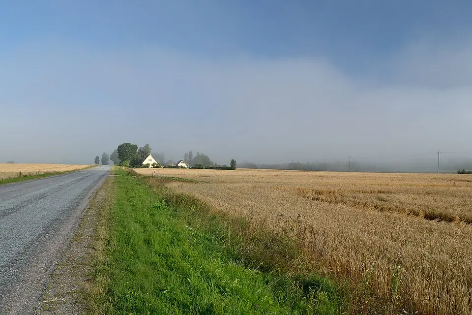 Võduvere