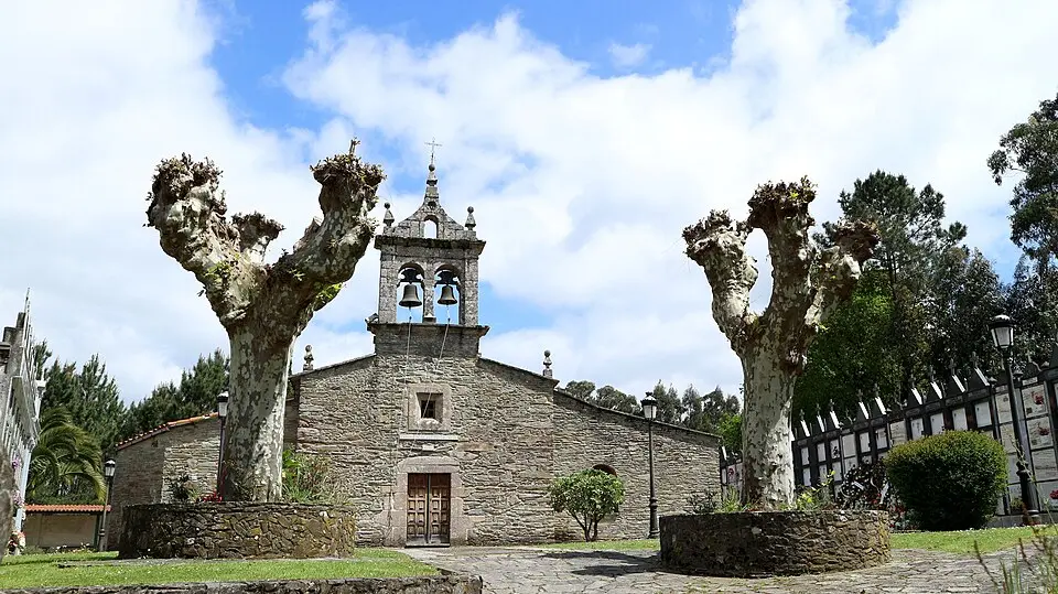 Viones
