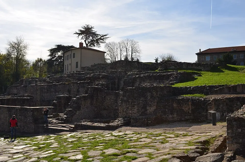 Insula basilicale