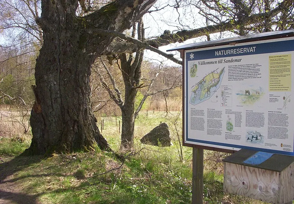 Sandemars naturreservat