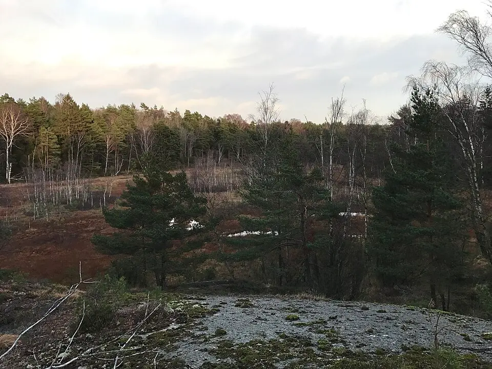 Kép: Bigdog102 · CC BY-SA 4.0 Sandsjöbacka naturreservat, Västra Götalands län