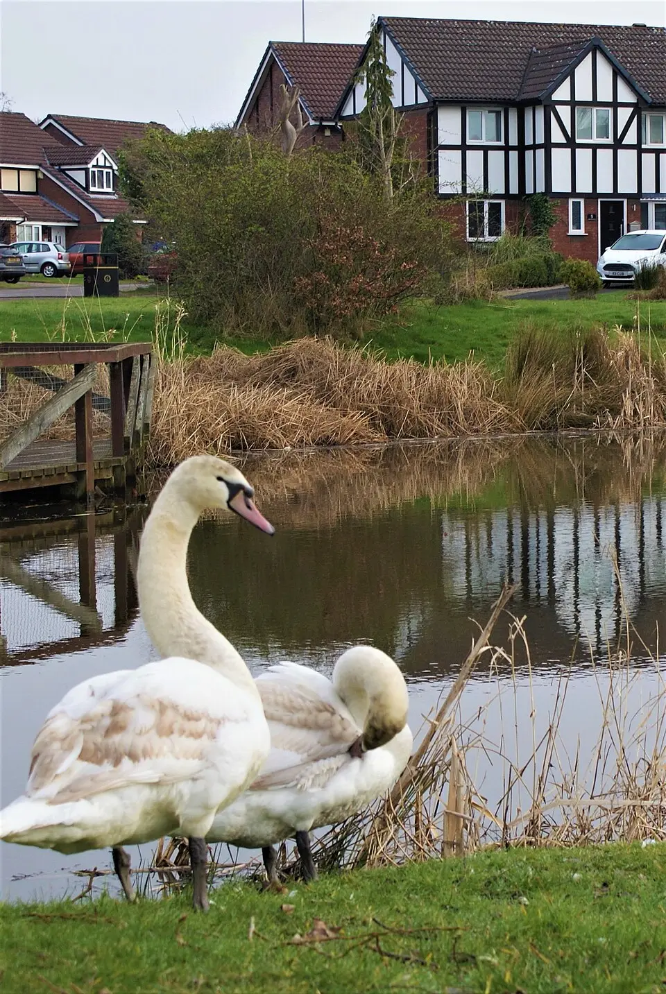 Sandymoor