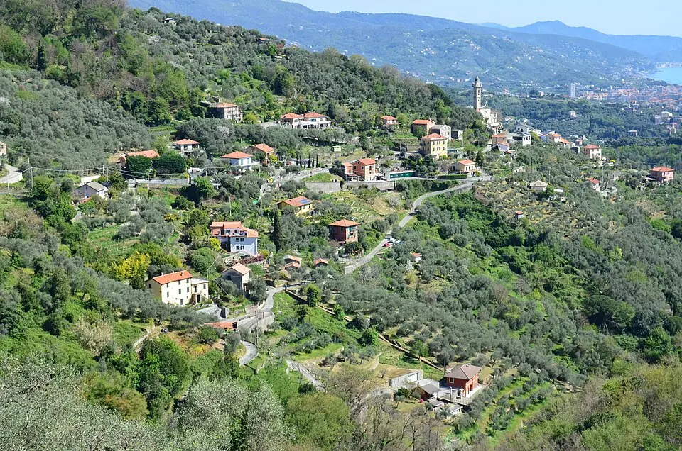 Sanguineto