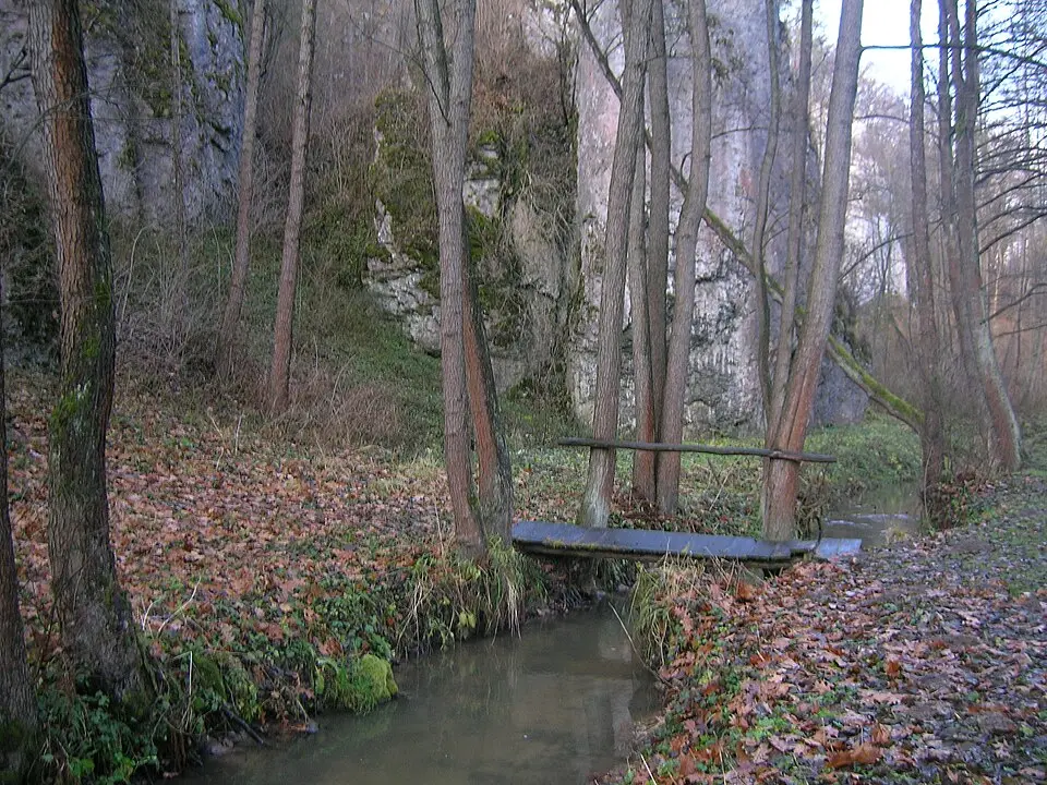 Rezerwat przyrody Dolina Mnikowska