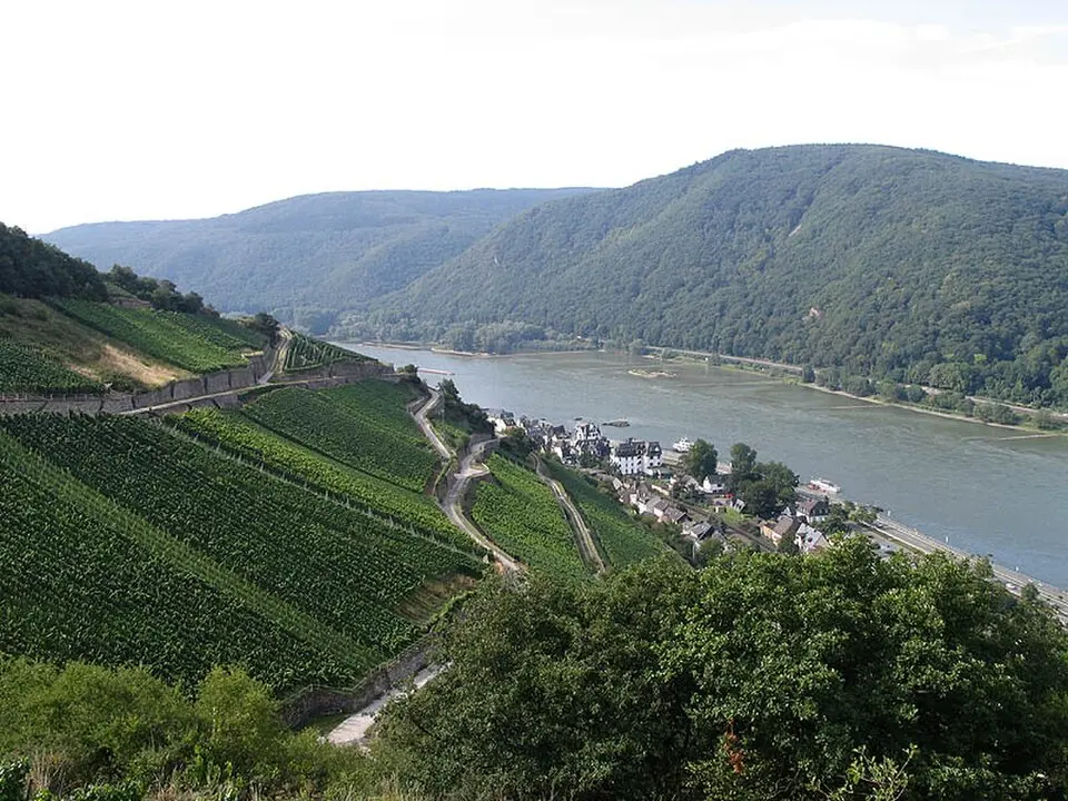 Rheingau
