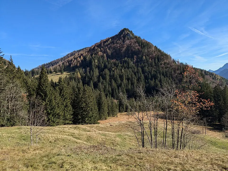 Image: Tigerente · CC BY 4.0 Astein