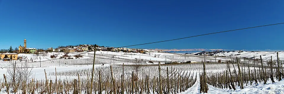 Sannazzaro