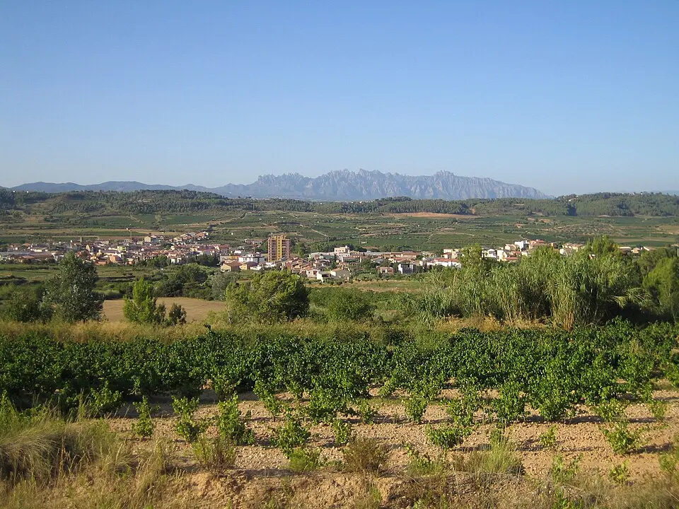 San Pedro de Riudevitlles