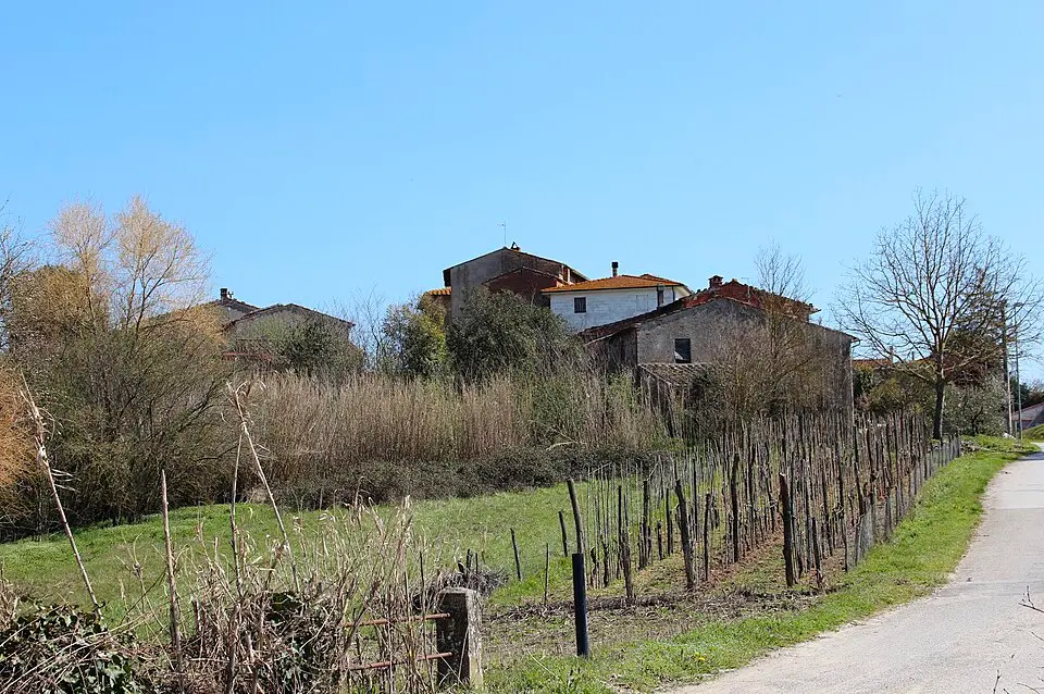 Tavolaia