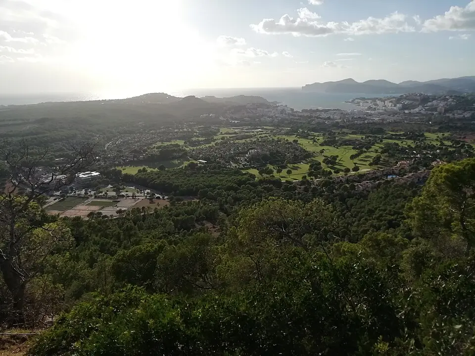 Mallorca Open