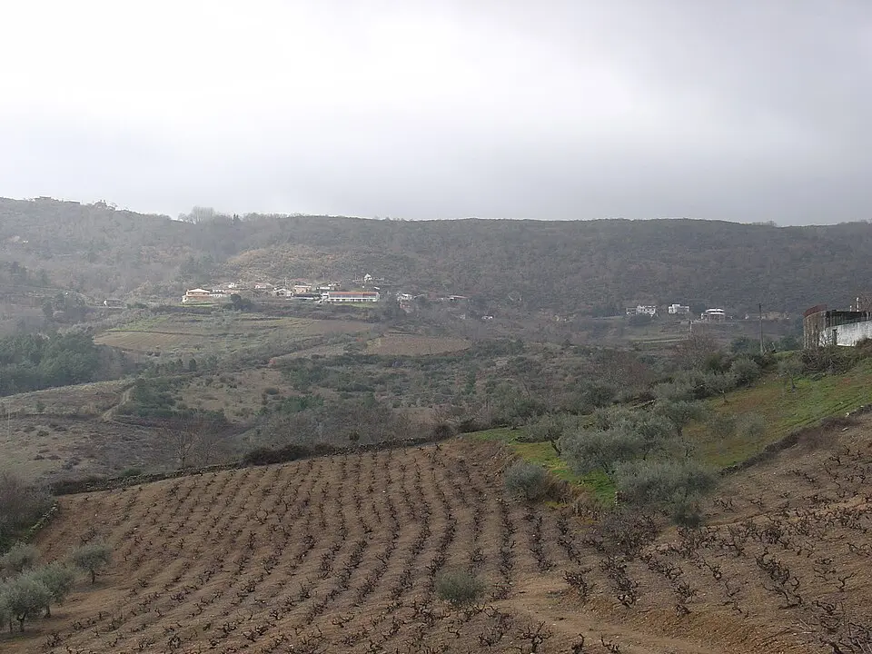 Santiago da Ribeira de Alhariz