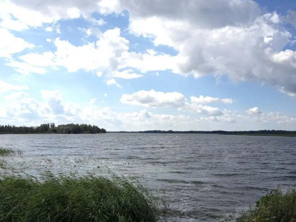 Köyliönjärvi