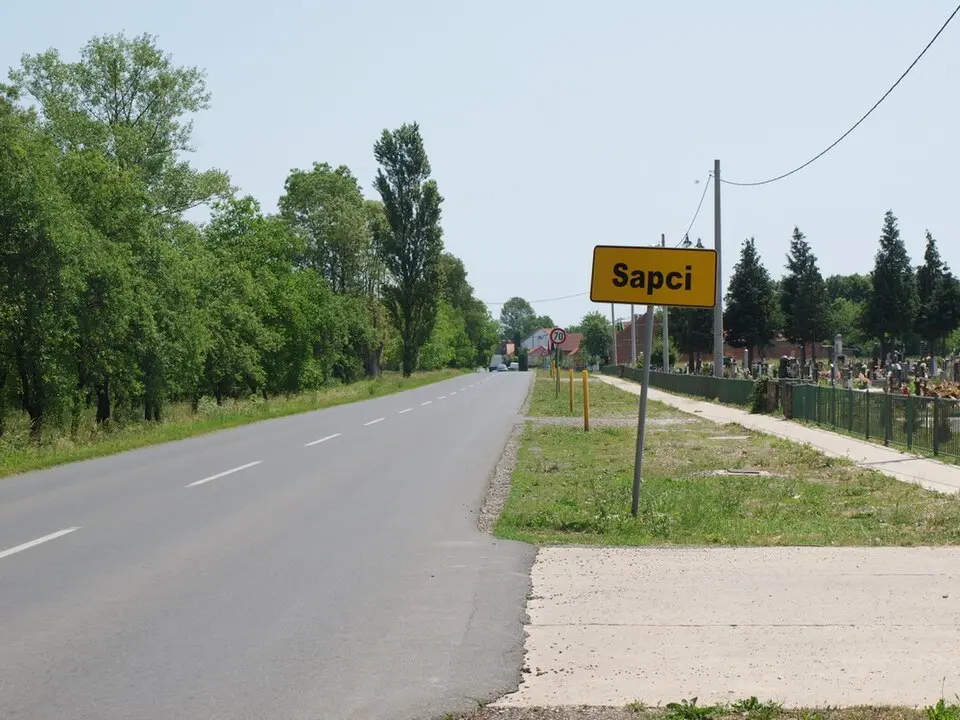 Sapci