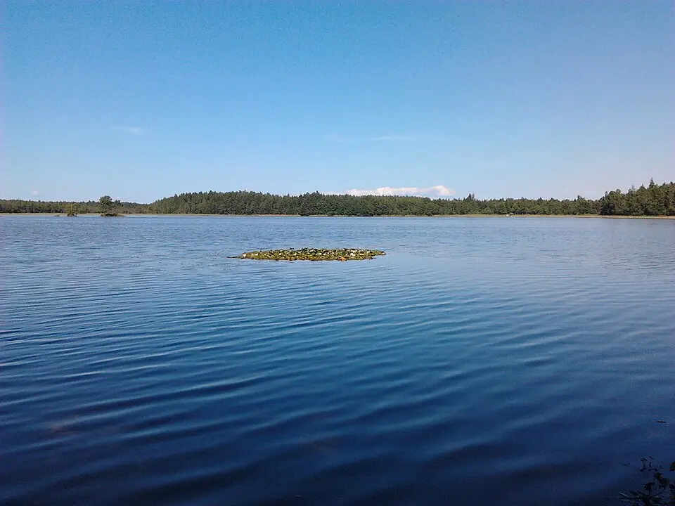 Sarapiku järv