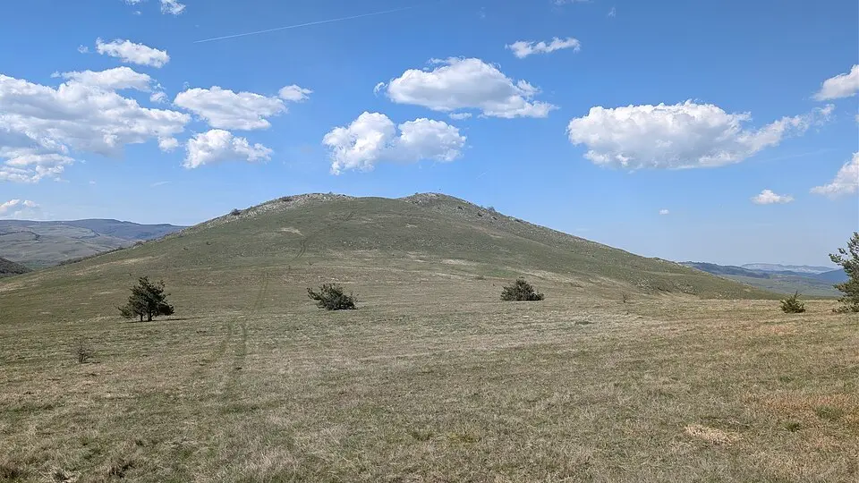 Sarbeniza