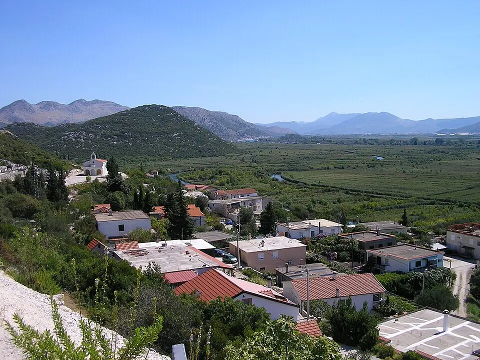 Šarić Struga