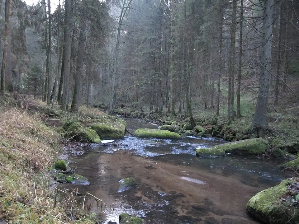Kleine Mühl
