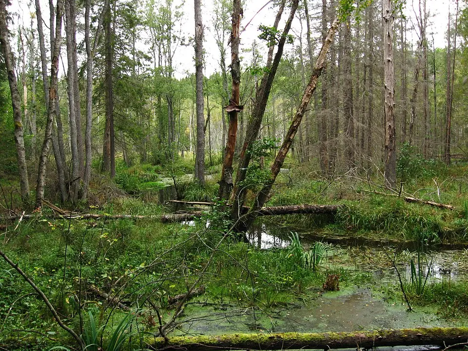 Lida naturreservat