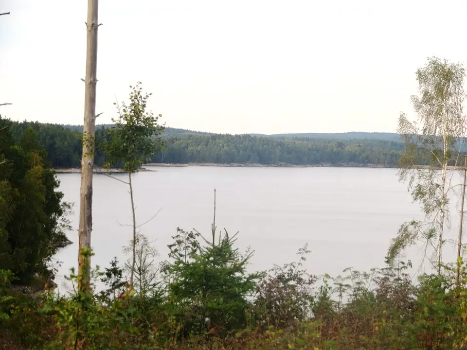 Tvetervann
