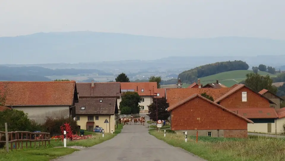Kép: Christophe Badoux · CC BY-SA 3.0 Sarzens