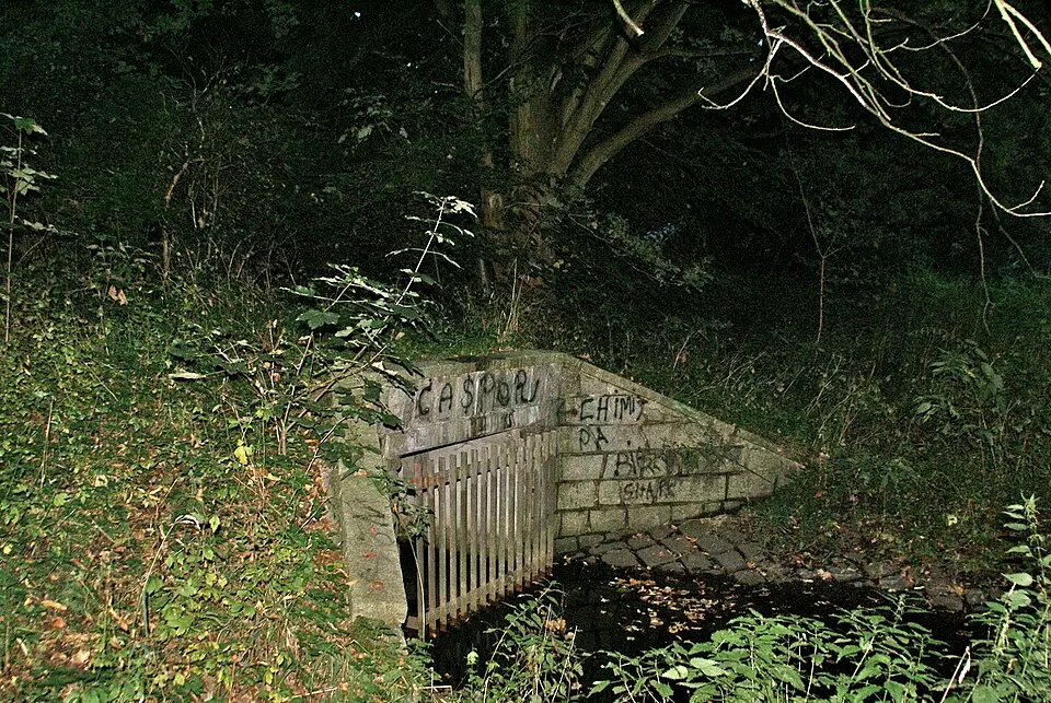 Saselbek