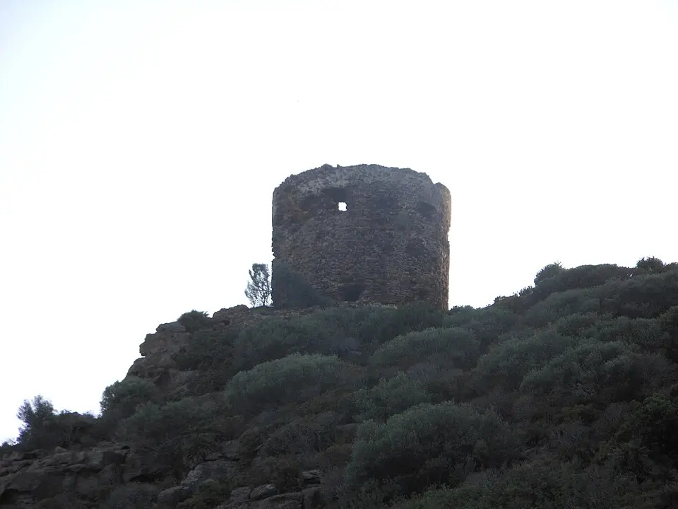 Torre Negra