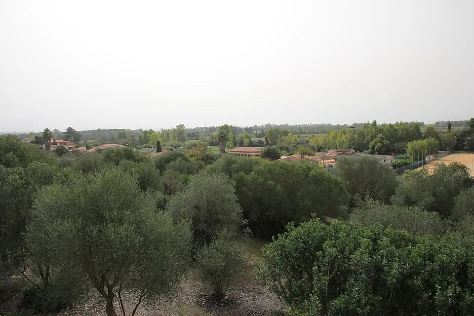 Tottubella